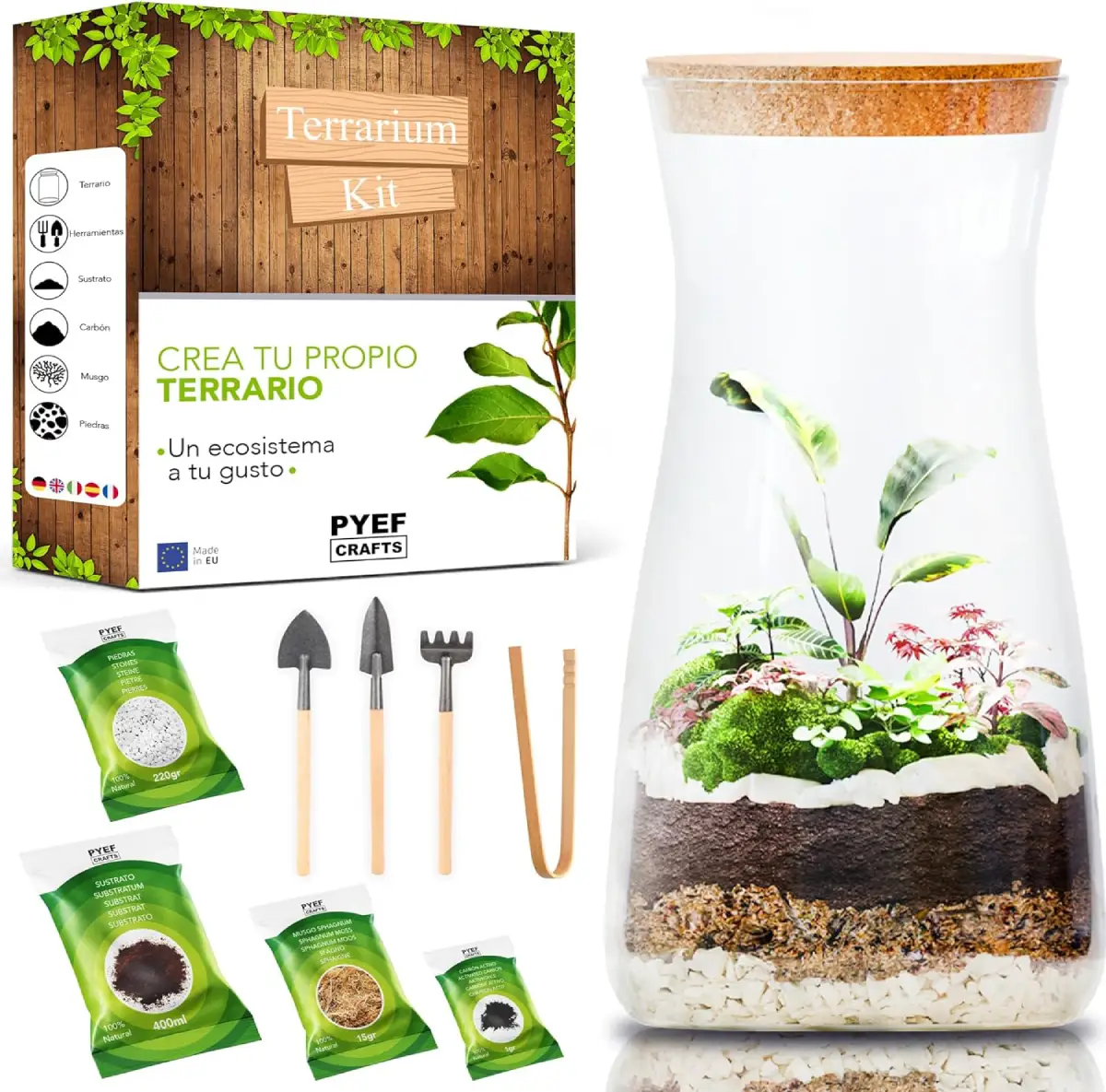 Kit Terrario de Plantas DIY de Amazon